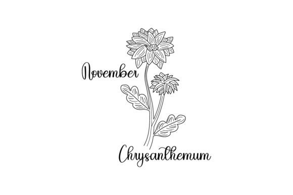 Crafts & Designs: November Chrysanthemum Line Art
