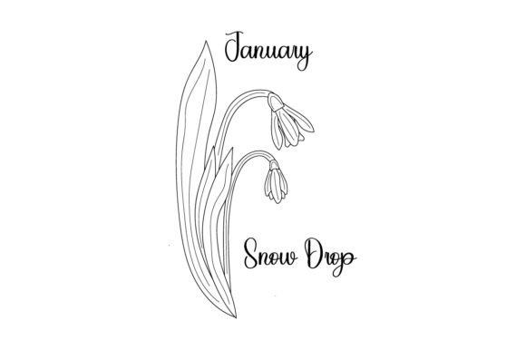 Crafts & Designs: Snow Drop Line Art Review