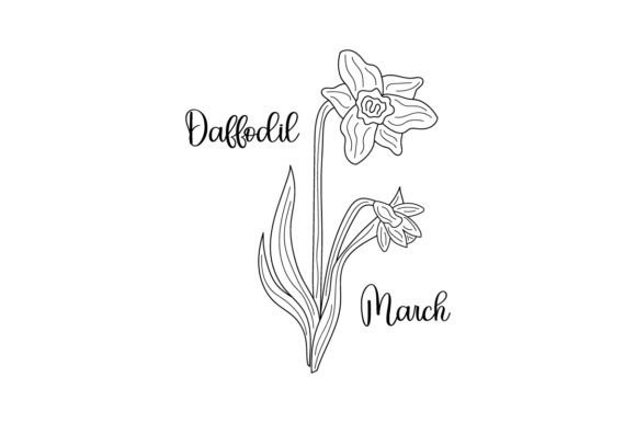 Daffodil Line Art for Crafts & Designs