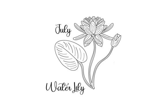 July Water Lily Crafts & Designs Review