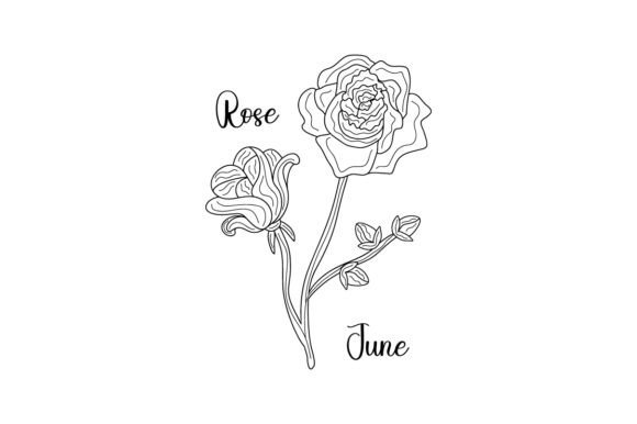 June Rose Line Art: Crafts & Designs Review