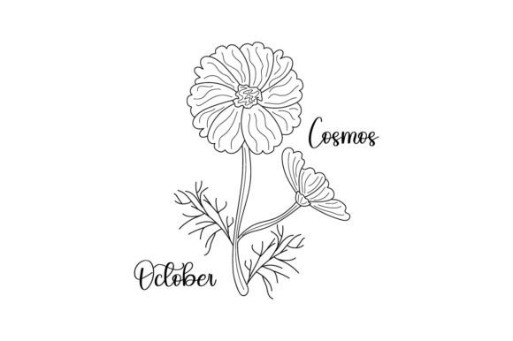 Reviewing the October Cosmos Line Art Embroidery Design